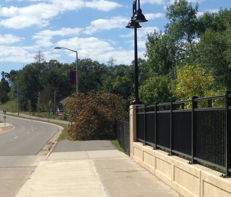 tree down over trail near college dr bridge