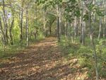 A trail at Crow Wing State Park