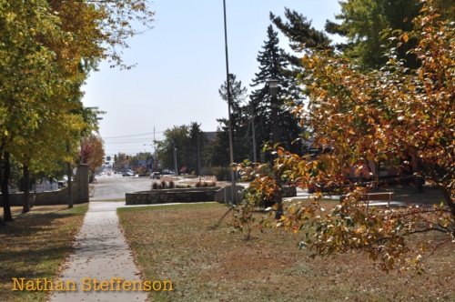 Gregory Park walkway fall colors