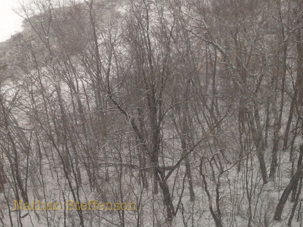 Snow at Mississippi River Brainerd MN 2-10-2015 Snow at Mississippi River Brainerd MN 2-10-2015