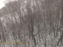Snow at Mississippi River Brainerd MN 2-10-2015 Snow at Mississippi River Brainerd MN 2-10-2015