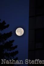 full moon with tree and building full moon with tree and building