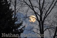 full moon between trees full moon between trees