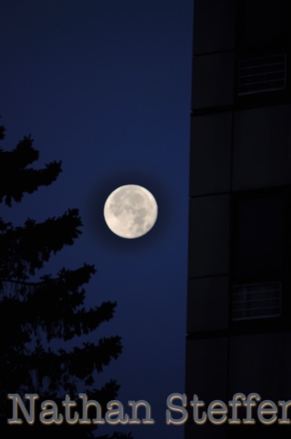 full moon with tree and building