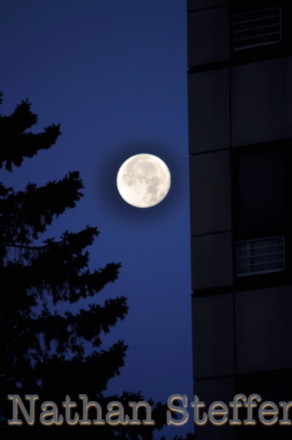 full moon with tree and building