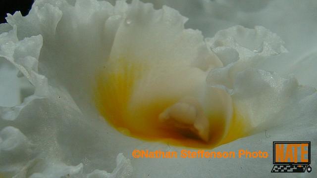 DSC00203